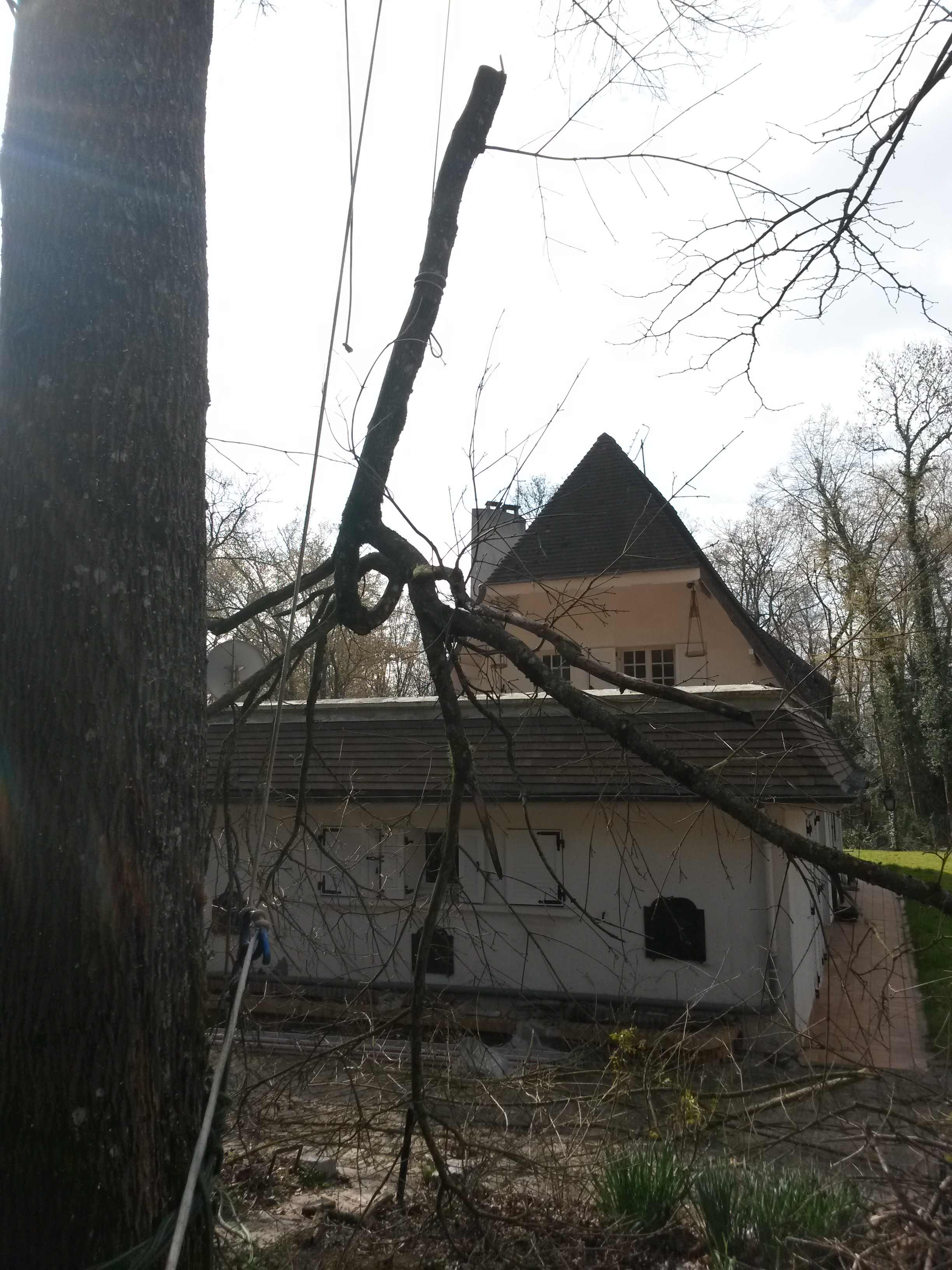 elagage abattage La Ferté sous Jouarre 77260